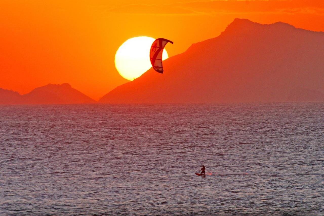 Longboard Paradise Surf Club *